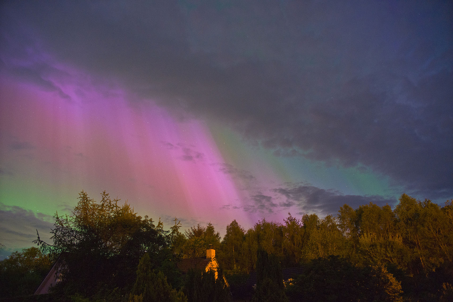 purple and green