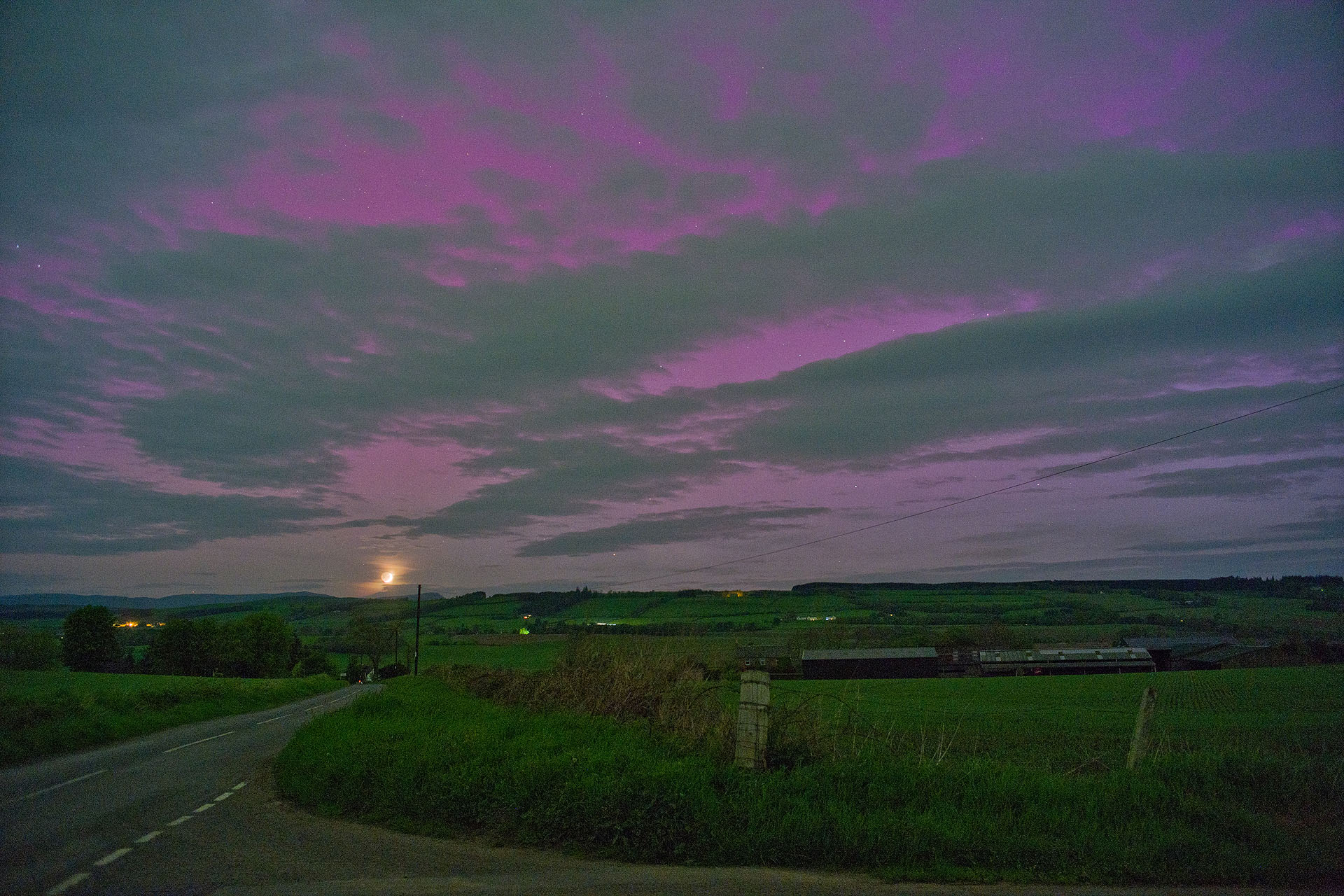 north purples